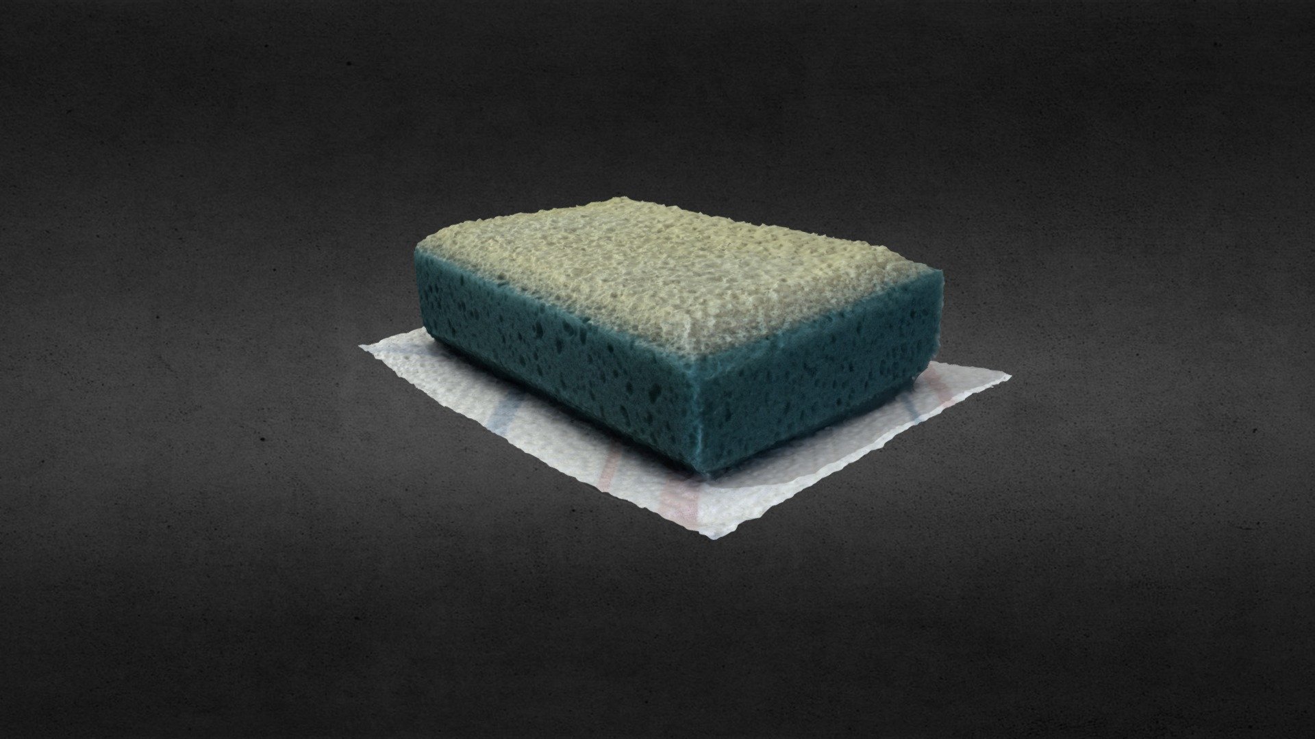 The Sponge - Agisoft Coaching