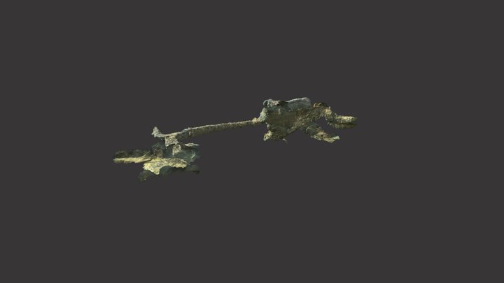The wagon in a waterfilled iron ore mine 3D Model