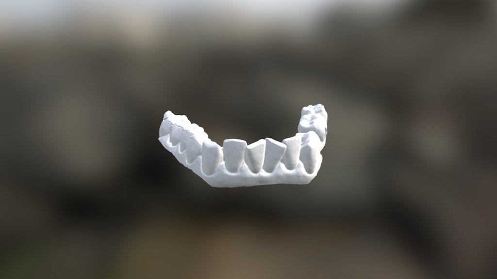 Kerry Lower Jaw