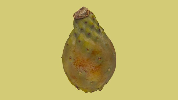 3D Scanned Prickly Pear Fruit 3D Model