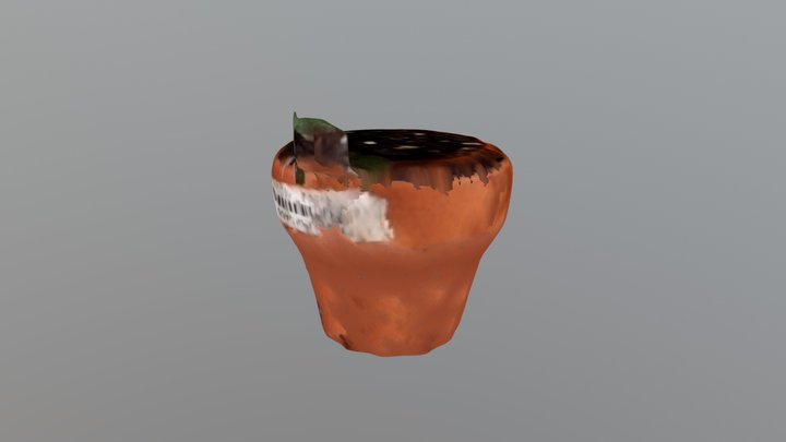 Little flowerpot 3D Model