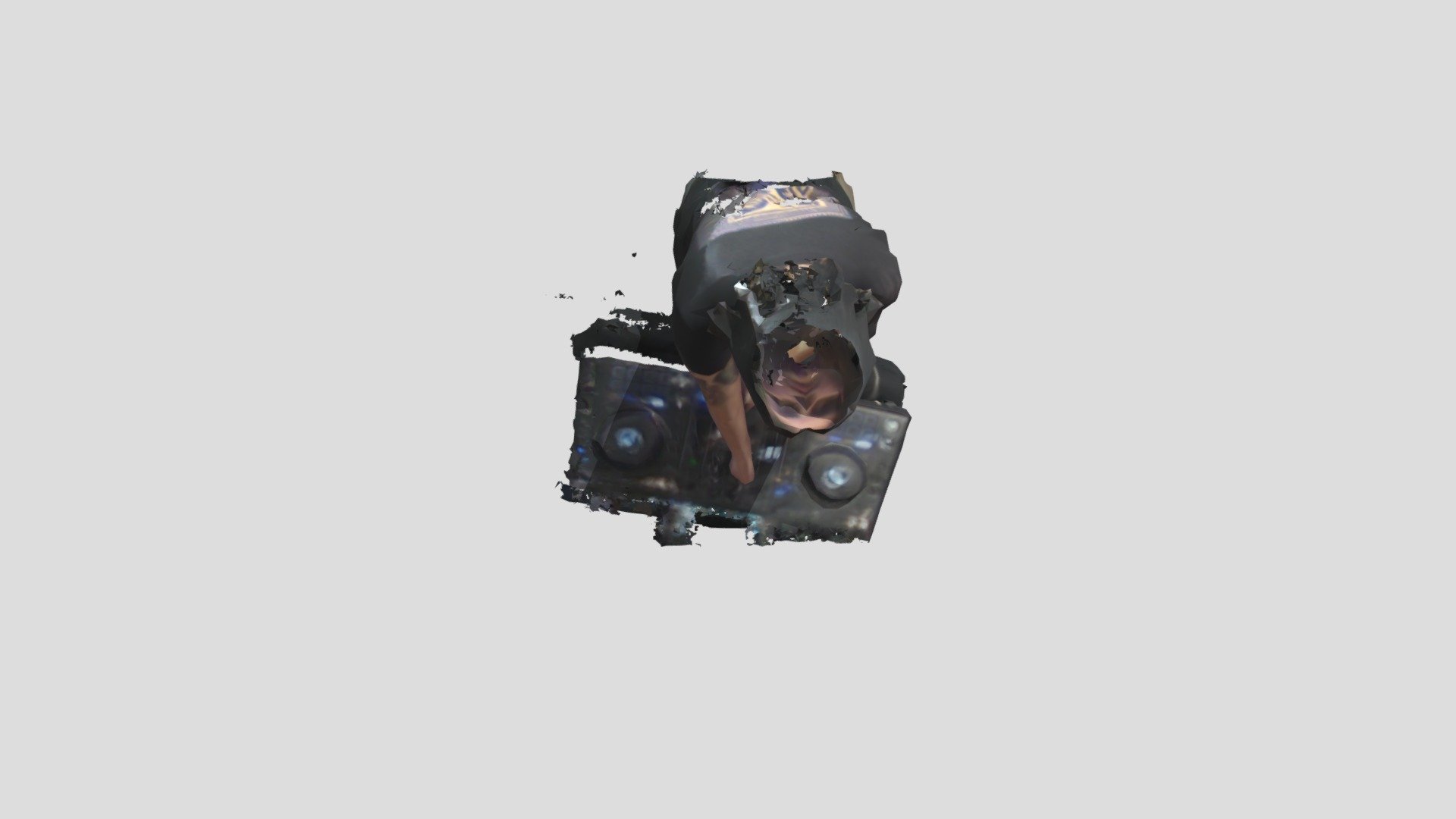 Databicho