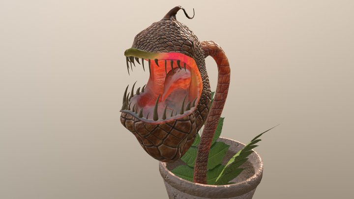 Carnivorous plant 3D Model
