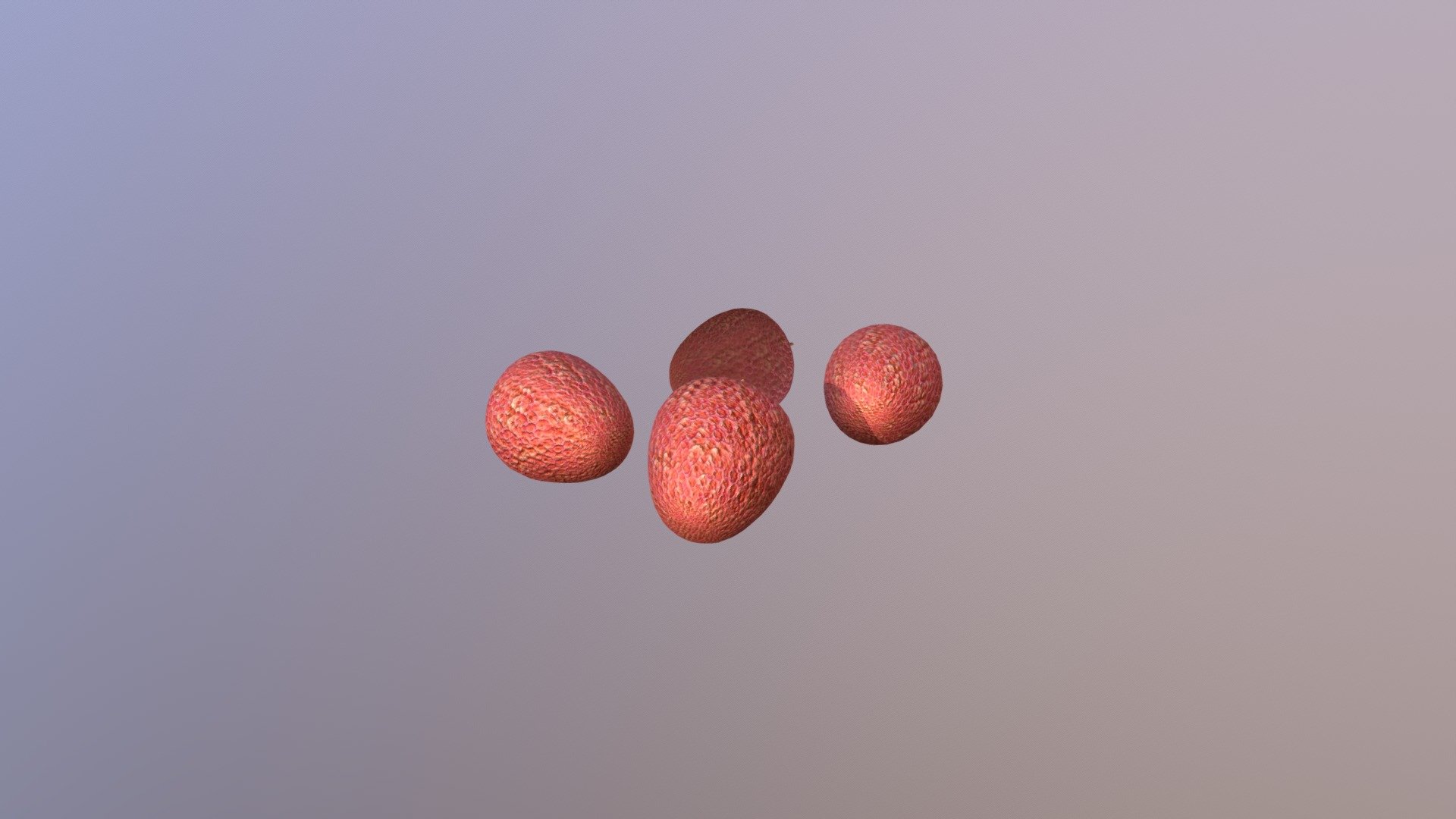 Lychee - 3D model by Virtual Reality (@simulanis) [b1e6c38] - Sketchfab