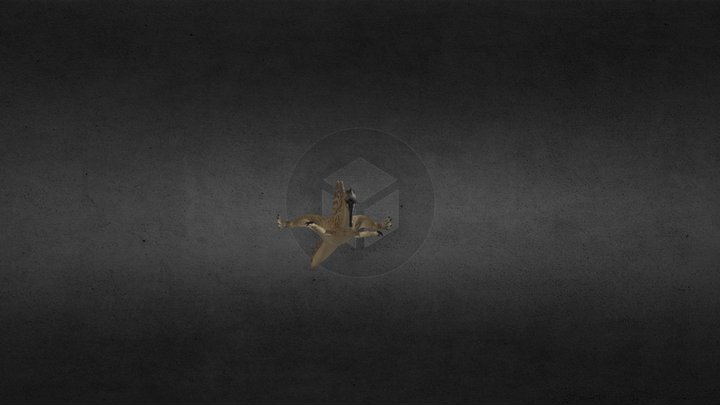accurate Spinosaurus rig – Modello 3D gratuito STL