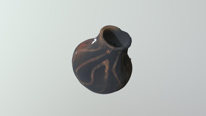 Kaxinawa Bottle 3D Model