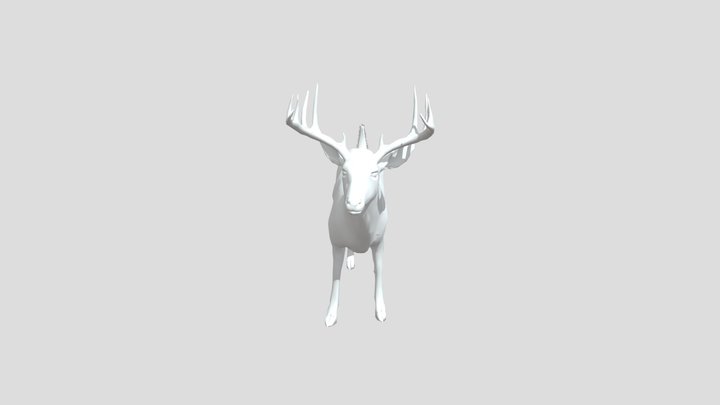 Dynamic 3D Model 15 3D Model