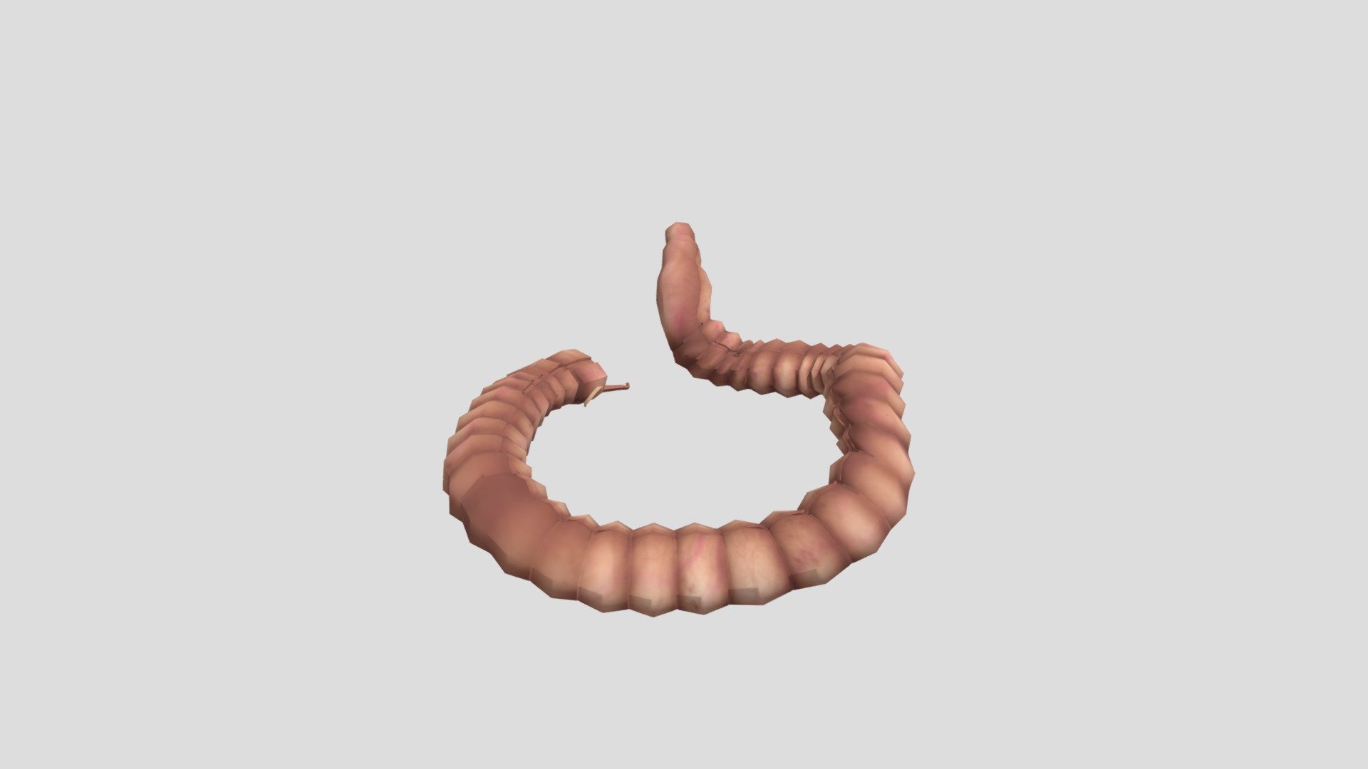 Large Intestine 10393 - Download Free 3D model by saravananm4594 ...