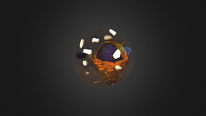 celula teste 2 3D Model