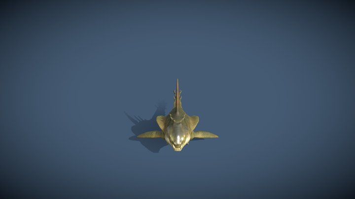 Sea Creature 3D Model