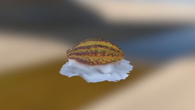 Cacao yellow 3D Model