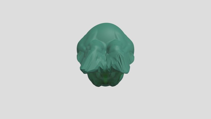My model 3D Model