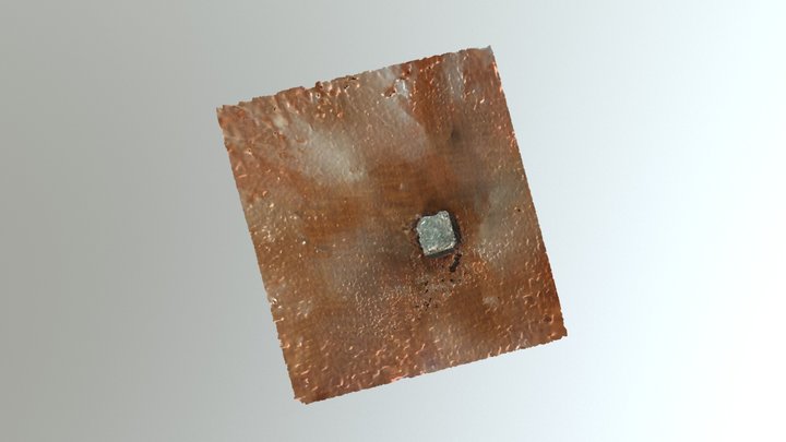 Dhruv's Pure Leaf 3D Model