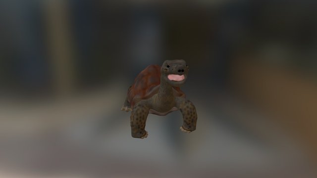 Tortoise Test 3D Model