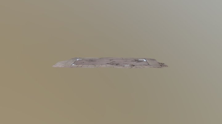 Dino Tracks UW 3D Model