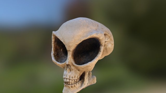 Alien Skull 3D Model