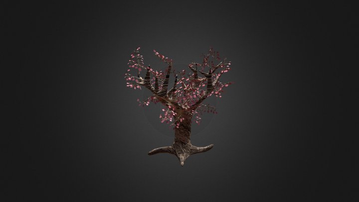 Maple Tree Model 3D Model