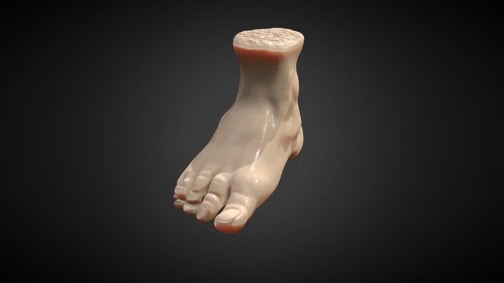 A foot 3D Model