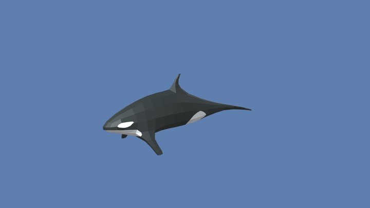 goofy ahh orca 3D Model