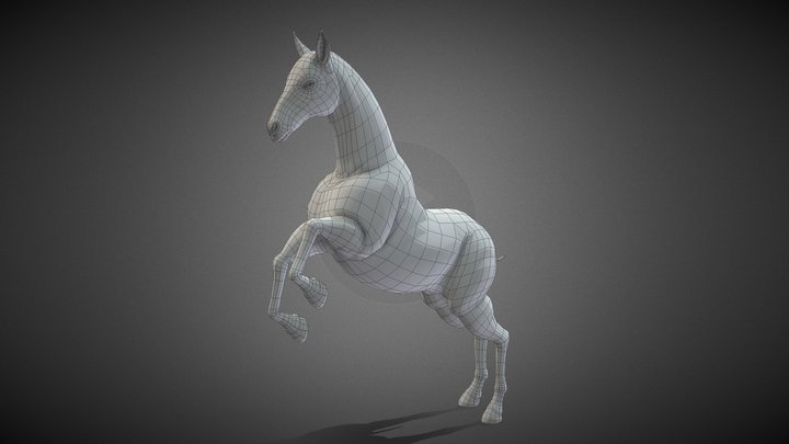Horse Base Mesh 3D Model