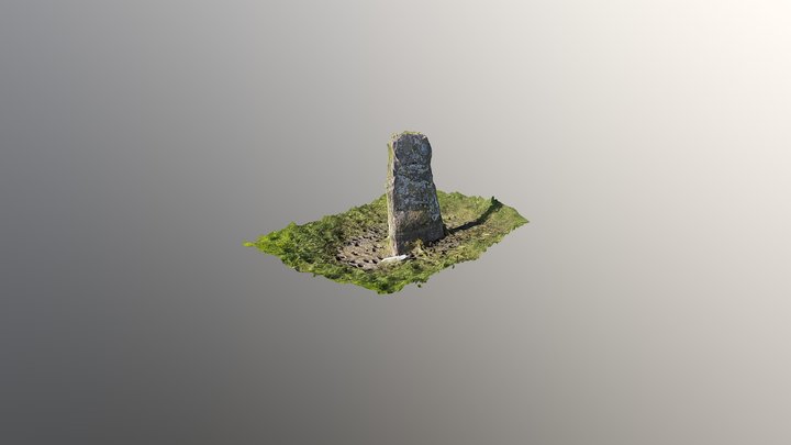Standing Stone Raphoe Co. Donegal 3D Model