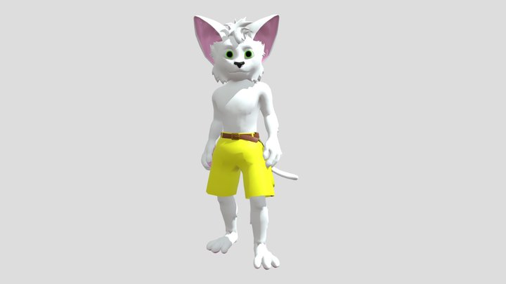 Katzen Animations 3D Model