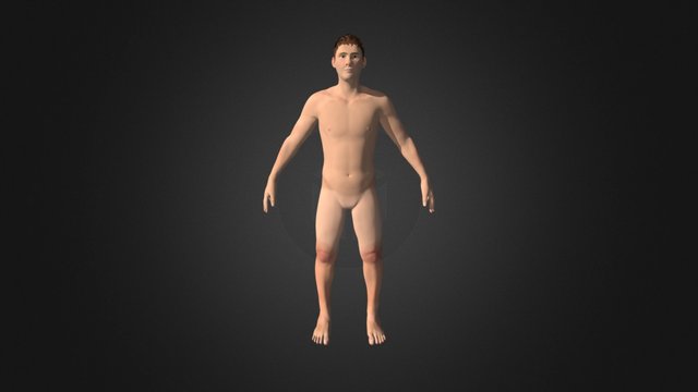 Male Anatomy Sculpt 3D Model
