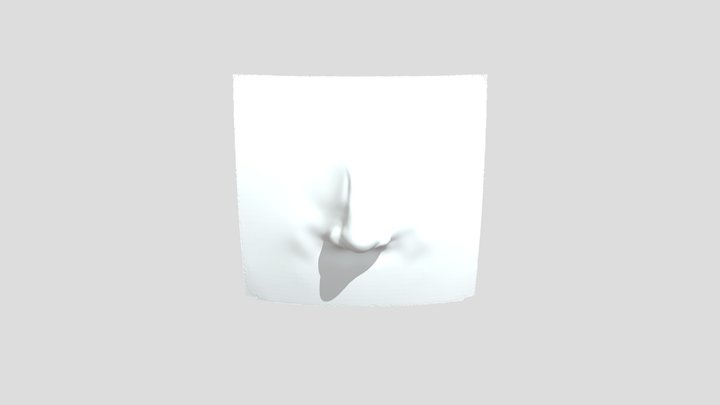 Nose 3D Model