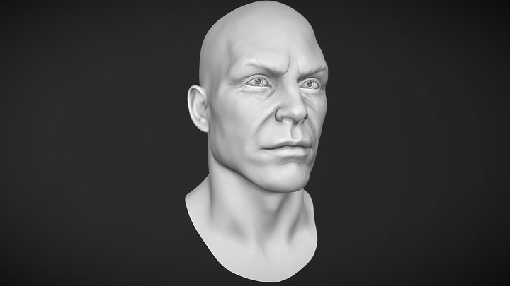 face shape - A 3D model collection by lavandertides - Sketchfab