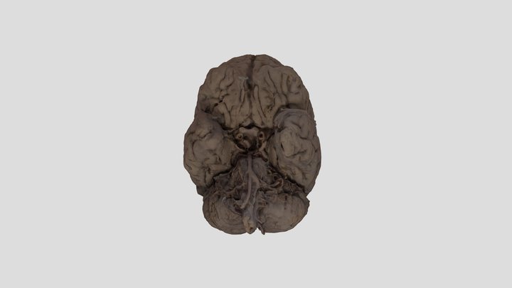 WHOLE 3 FIXEDFINAL 3D Model