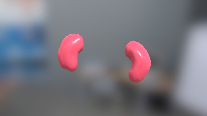 Jelly Bean Kidneys 3D Model