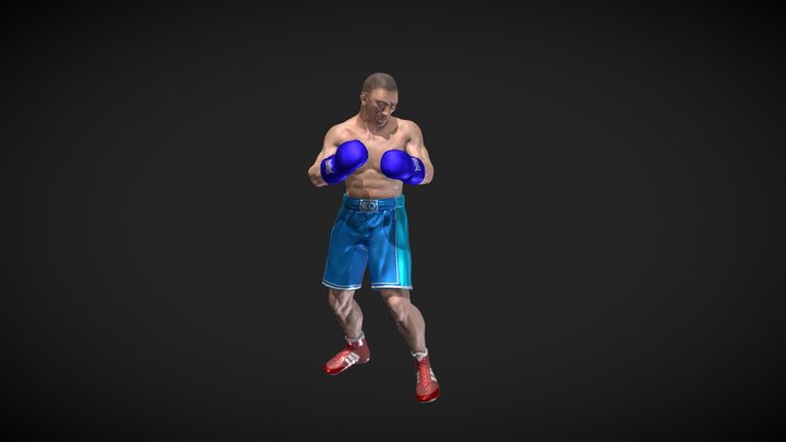Euro Boxer Heavy Idle 3D Model
