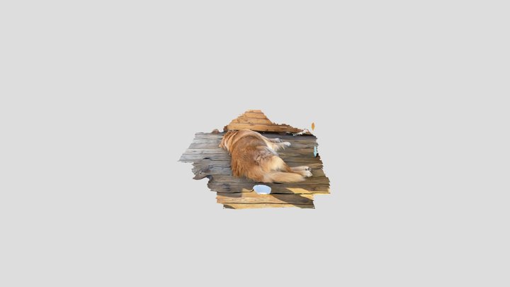 Untitled Scan 3D Model