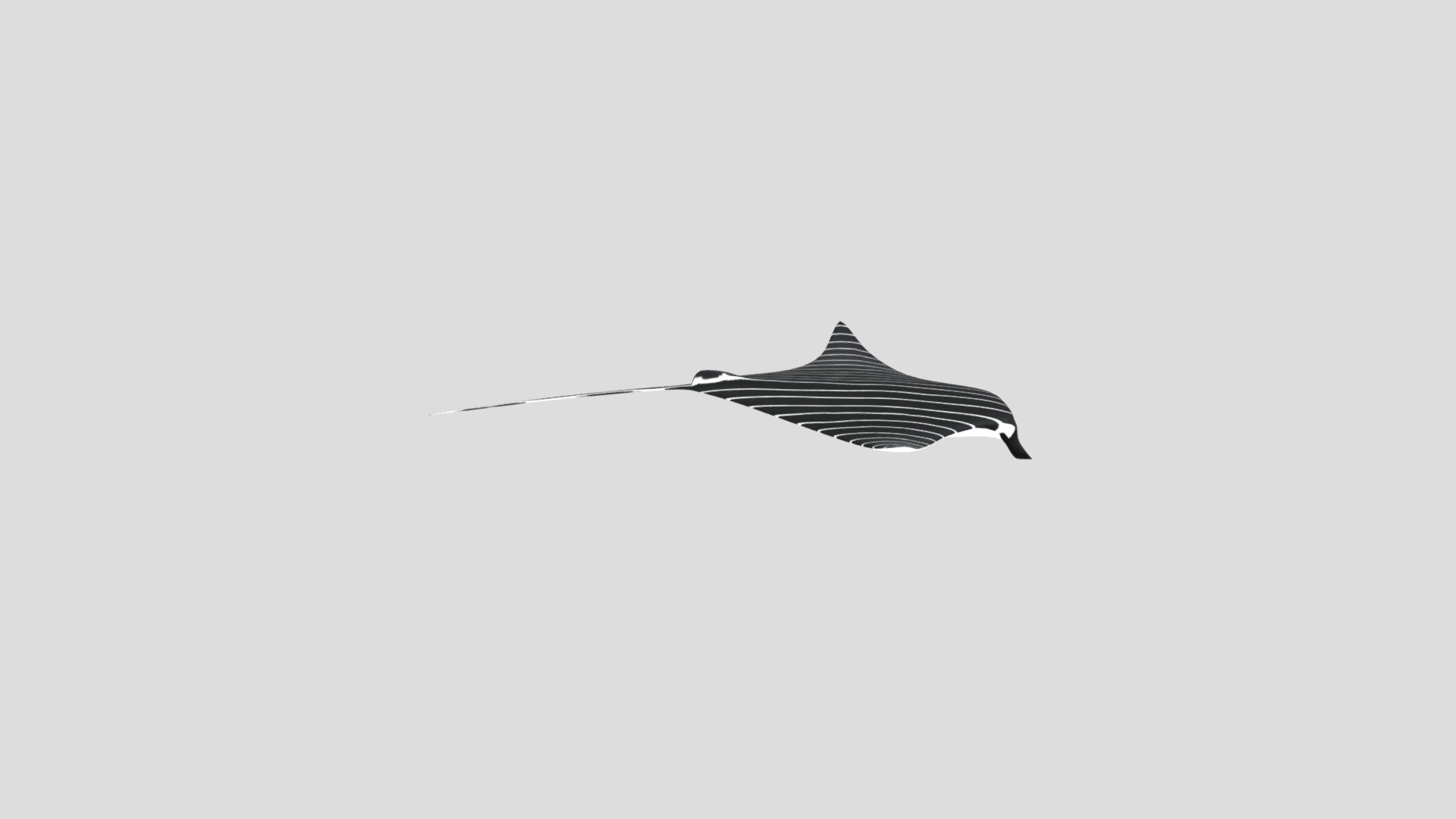 Manta Asset A f50