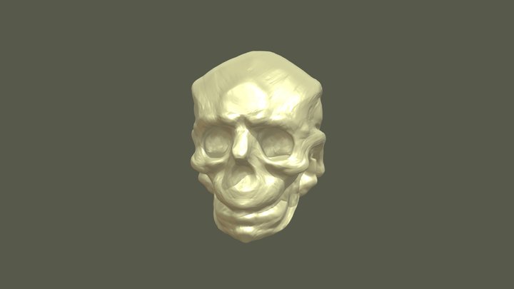 Череп 20 3D Model