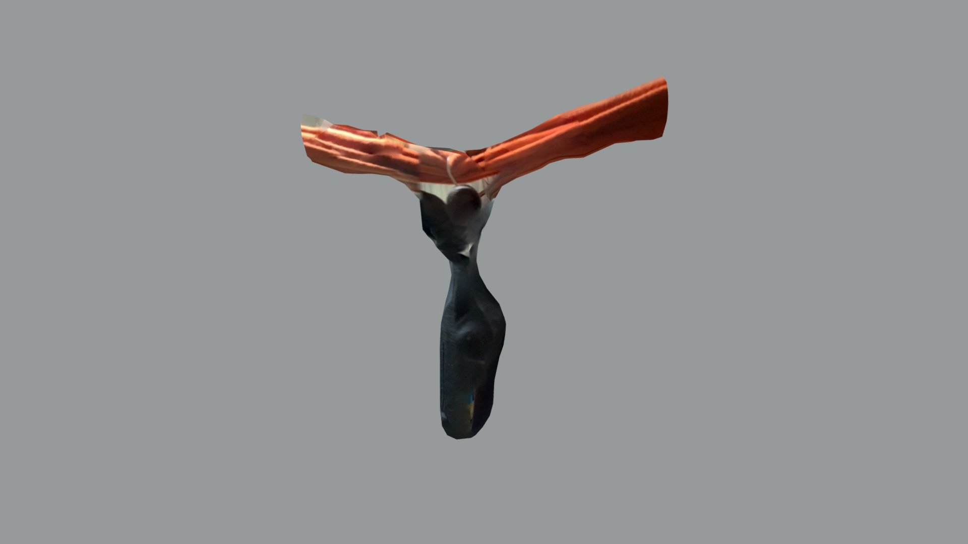 Whale