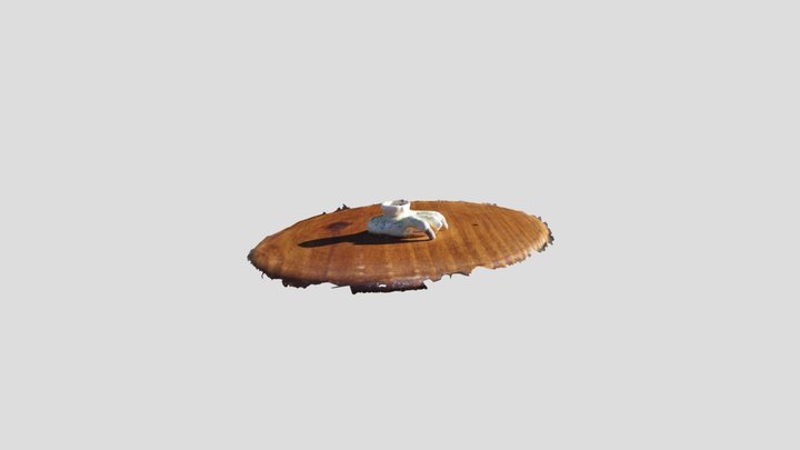 Garra 3D Model