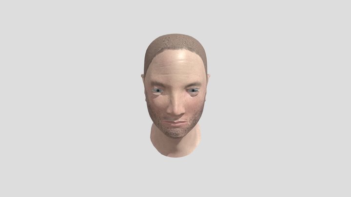 Head Aaron Paul 3D Model