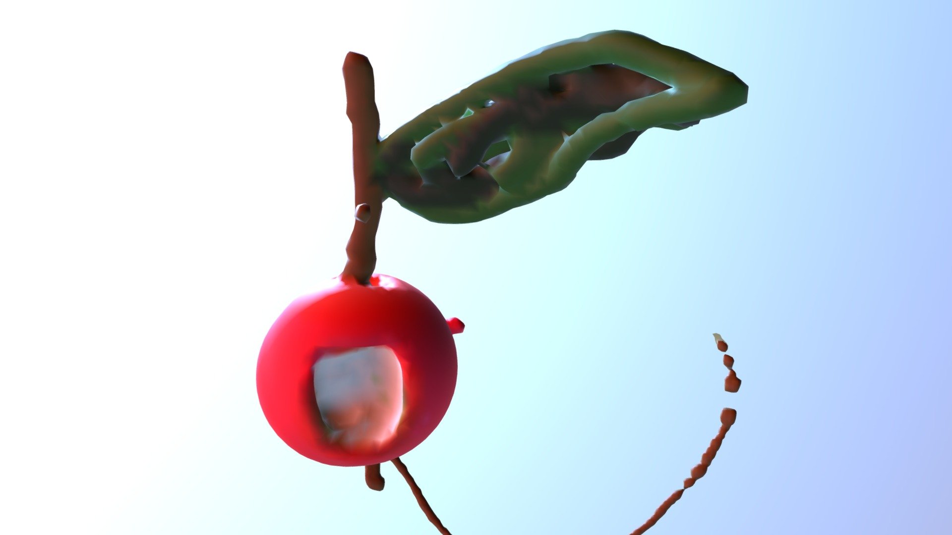 Continuum Short course - Gretta's apple