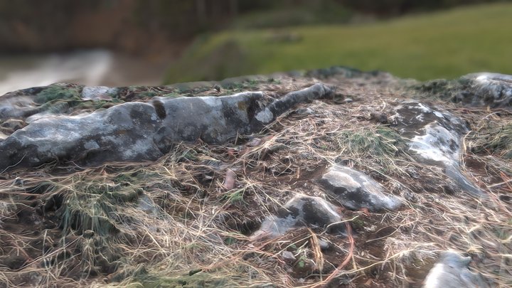 Ground Rocks 3 FREE – Modello 3D gratuito STL