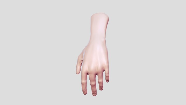 Hand sculpt 3D Model