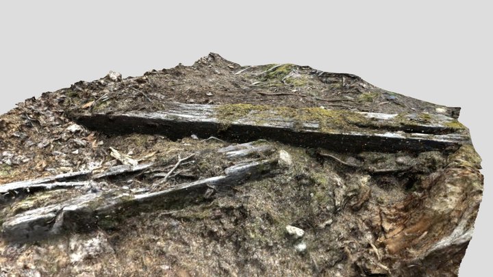 Railroad ties / Wooden sleepers (photogrammetry) 3D Model