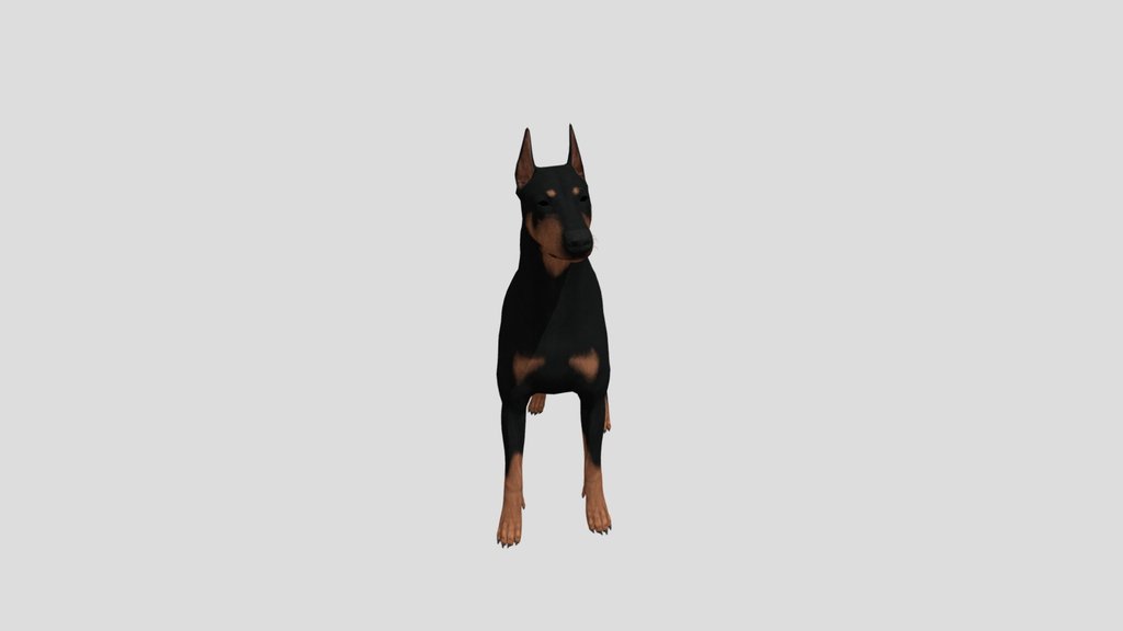 Doberman