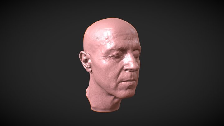 The da Silva - full headscan mini 3D Model