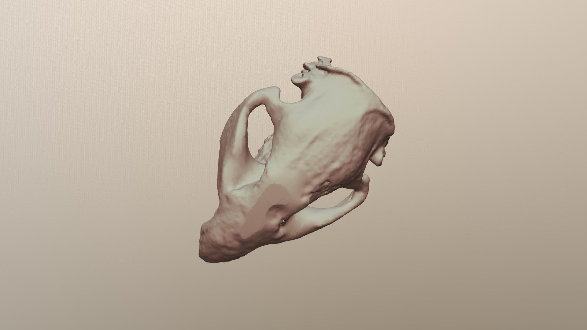 7A-Beaver-BC1830
