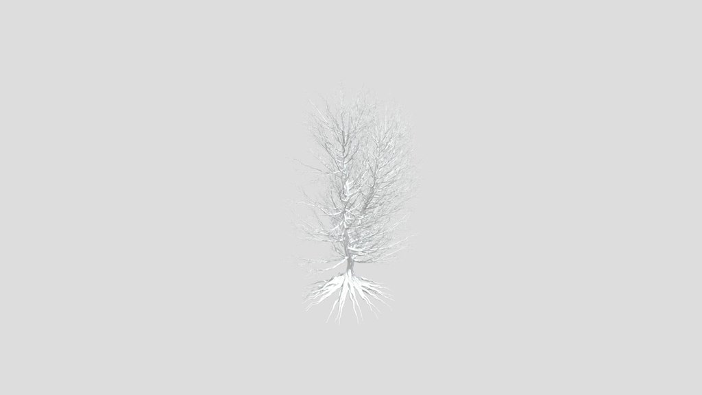 Dry Tree 04