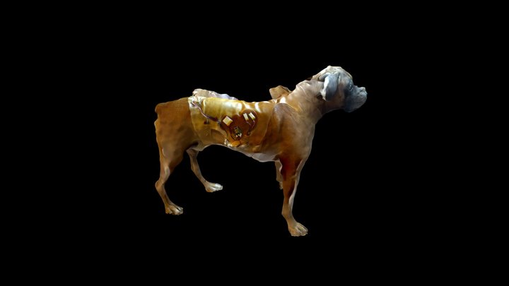 3 3D Model