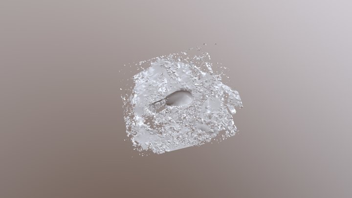 A1 3D Model