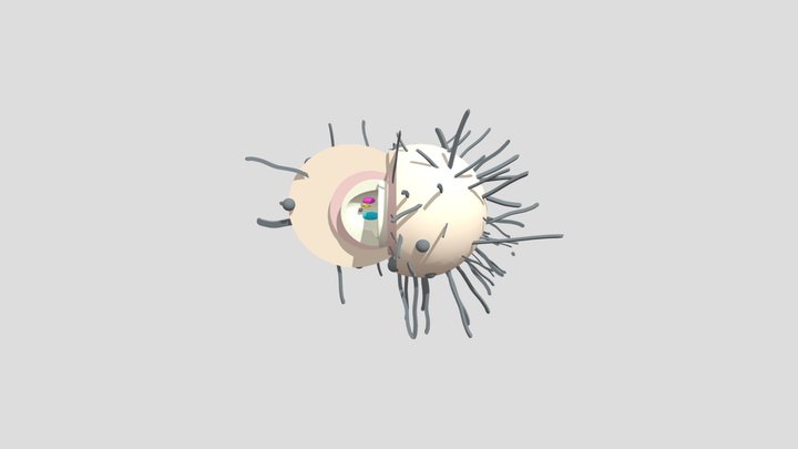 Neisseria Gonorrhoeae 3D Model