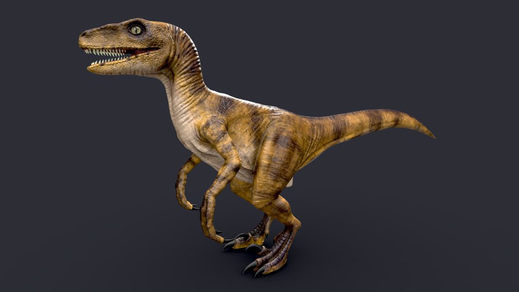 Velociraptor